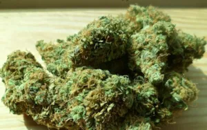 Sklep z nasionami marihuany Mr.Seed.pl – nasiona, CBD, waporyzatory